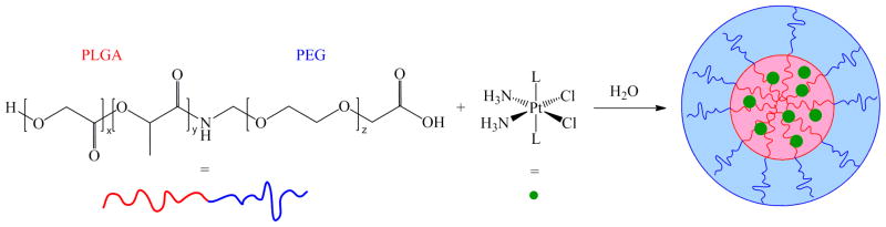 Scheme 6