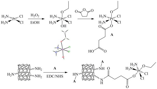 Scheme 4