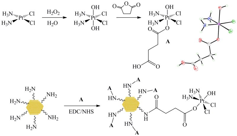 Scheme 5