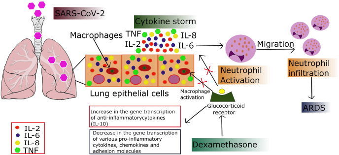 Fig. 2