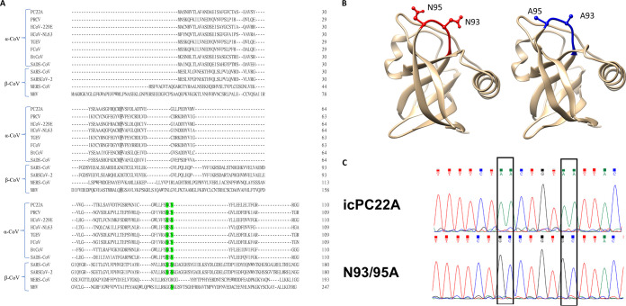 FIG 1