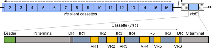 FIG 1