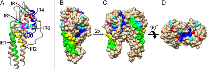 FIG 4