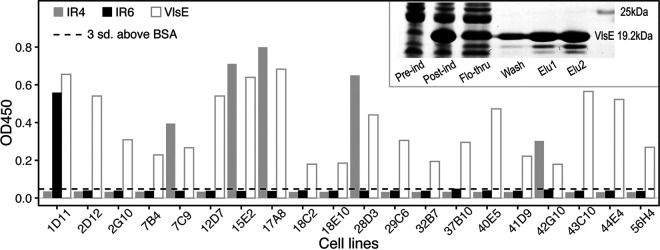 FIG 6