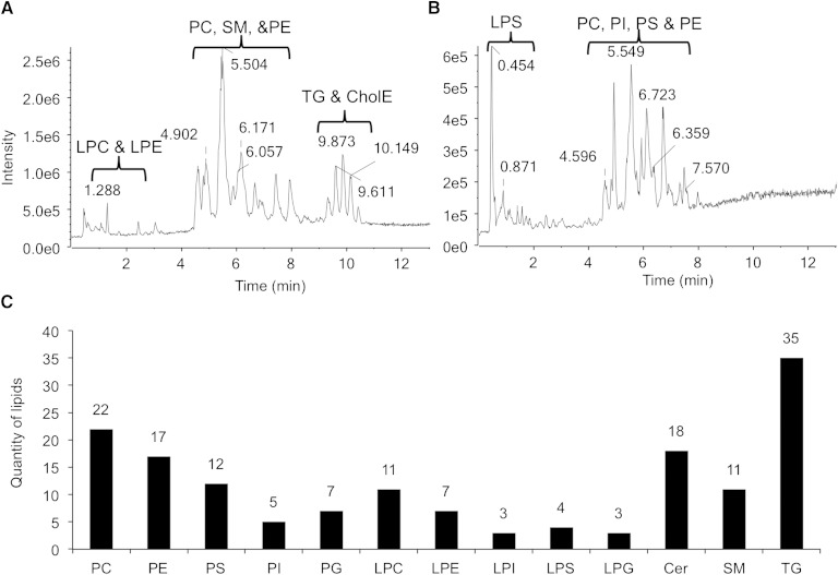 Fig. 3.