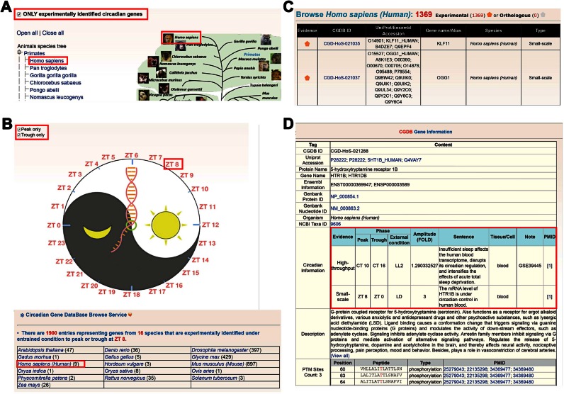 Figure 3.