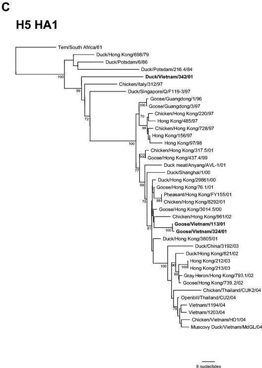 FIG. 1.