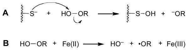 Scheme 2