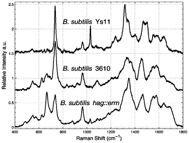 Figure 11