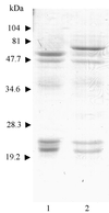 FIG. 1
