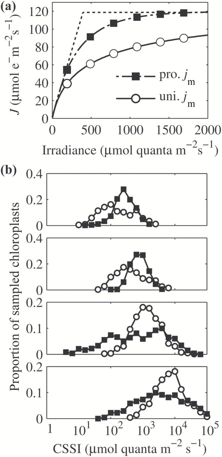 Fig. 9.