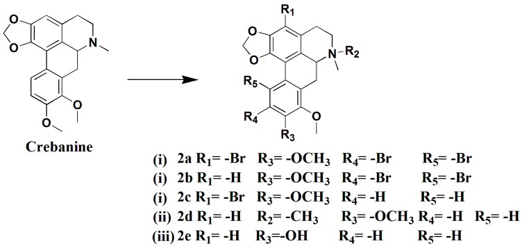 Scheme 2