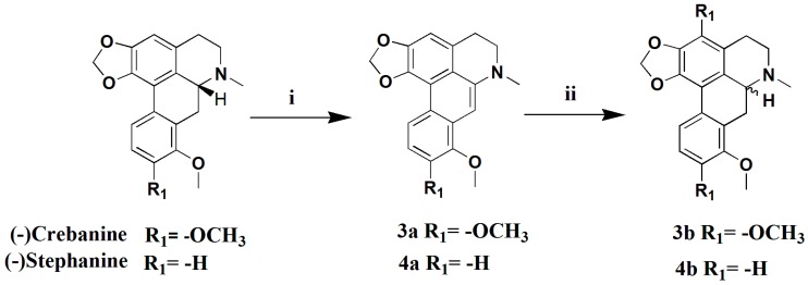 Scheme 3