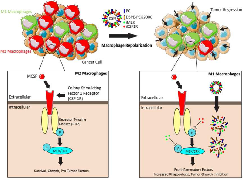 Figure 1|