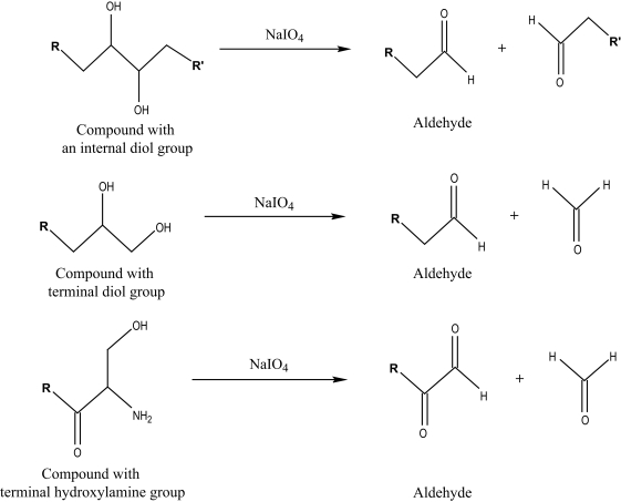 Scheme 4