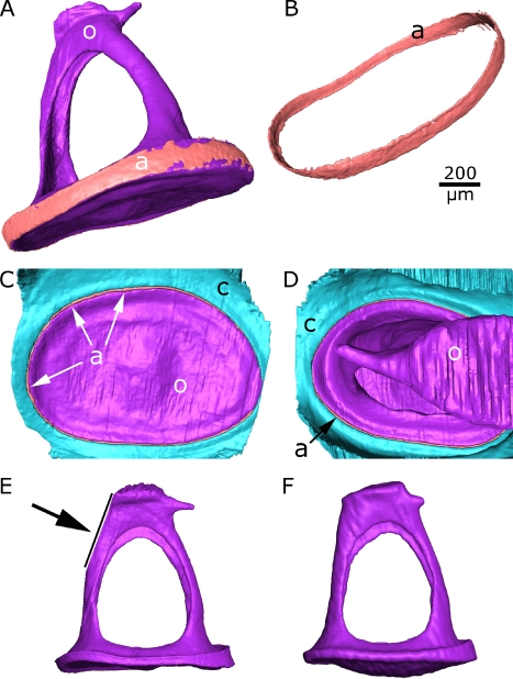 FIG. 10