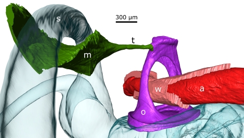 FIG. 9