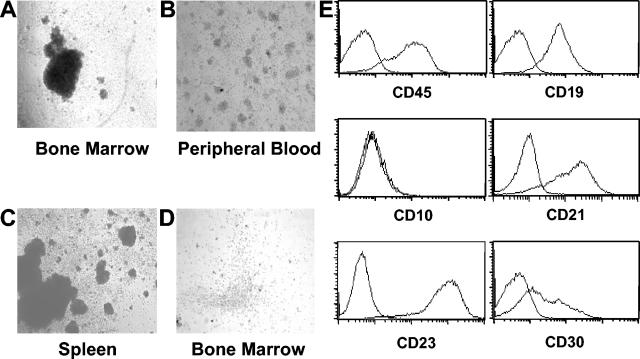 FIG. 6.