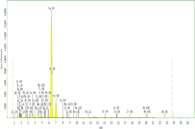 Fig. 1