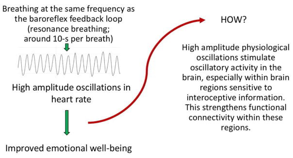 Figure 2 (Article Summary Figure)