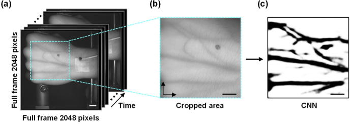 Fig. 3.