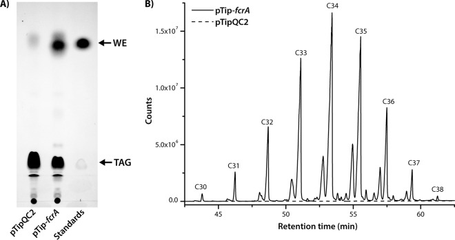 FIG 5