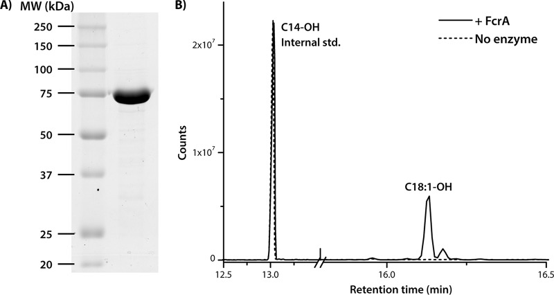 FIG 4