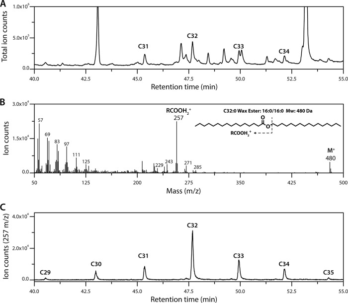 FIG 2