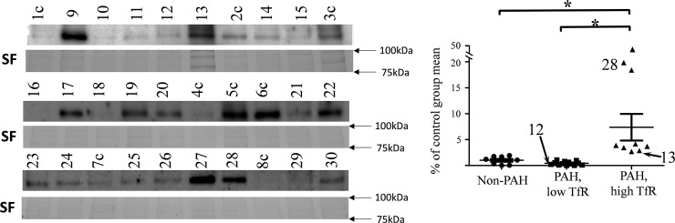 Fig 5