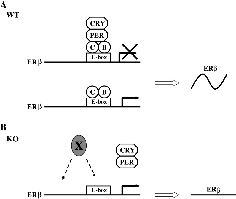 Fig. 3