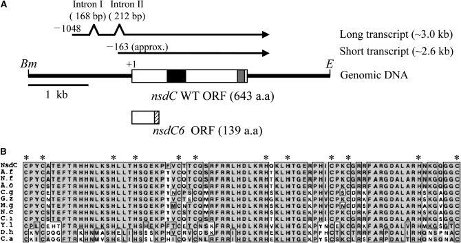 Figure 1.—