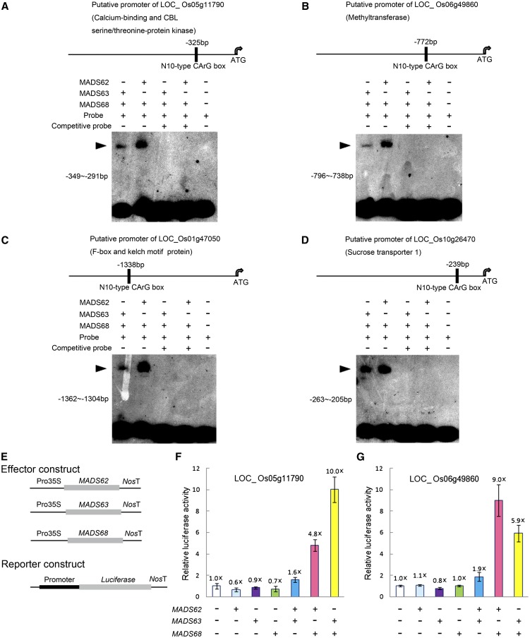 Figure 6.