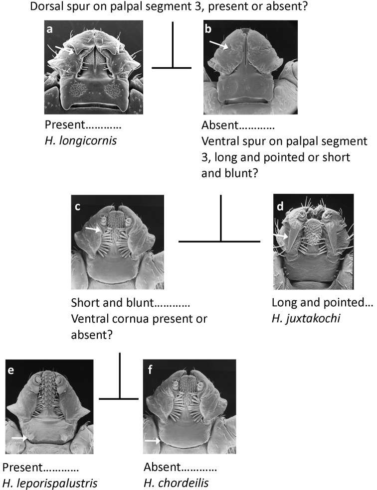 Figure 5.