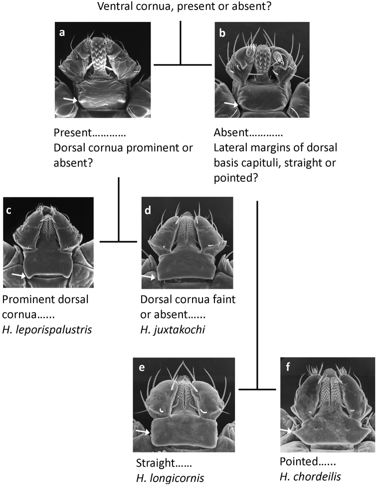 Figure 7.