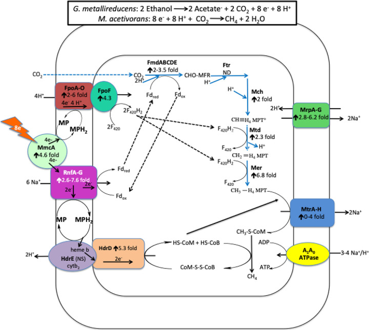 FIG 2