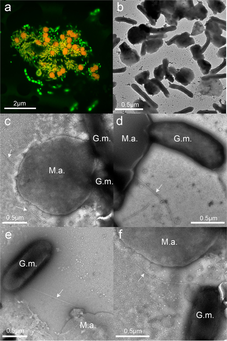 FIG 3