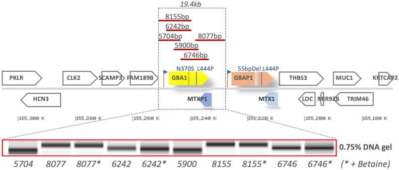 Fig. 1