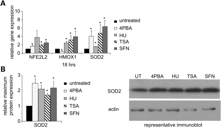 Figure 7.