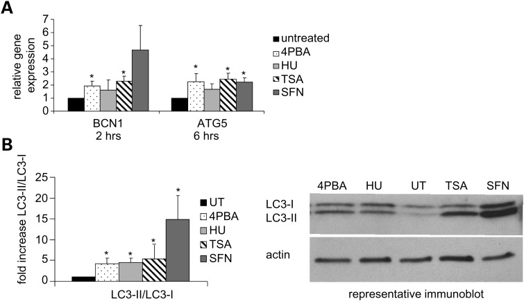 Figure 6.