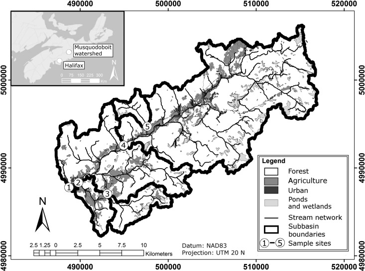 FIG 1