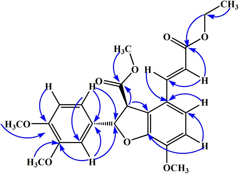 Fig. 2