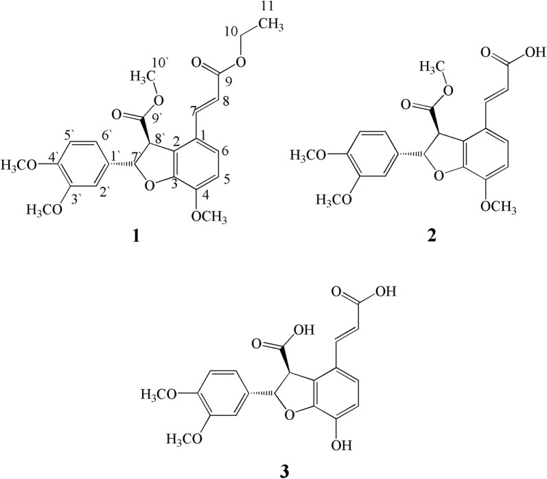 Fig. 1