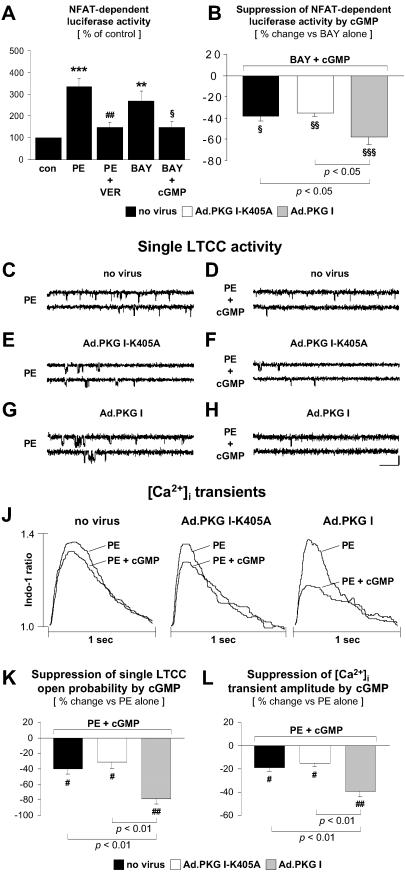 Fig 3.