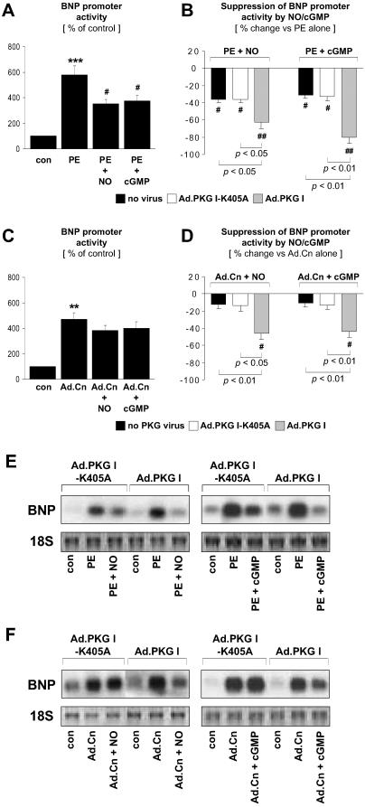 Fig 4.