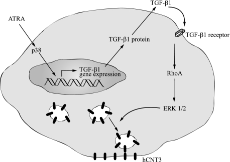 FIGURE 9.