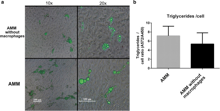 Fig. 2