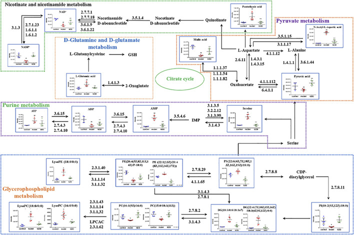 FIGURE 10