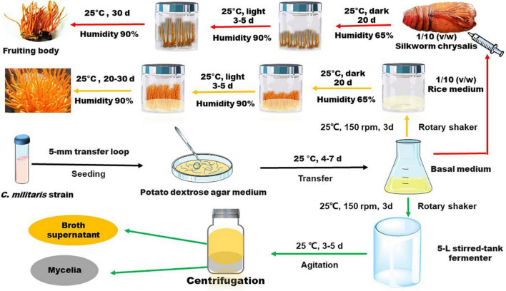 FIGURE 3