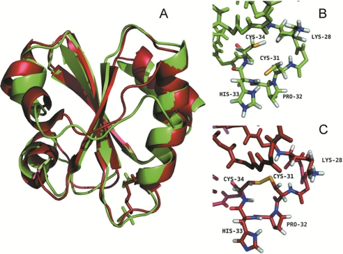 FIGURE 4.