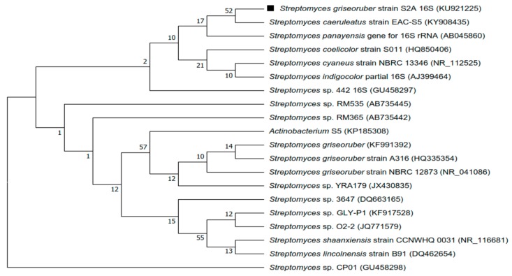 Figure 2